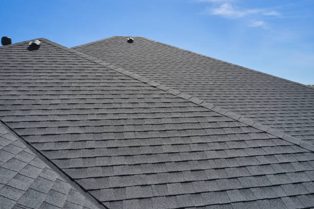 Best Gutter Installation and Repair  in Pine Castle, FL